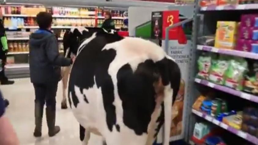 [VIDEO] Granjeros protestan con vacas al interior de supermercado en Reino Unido