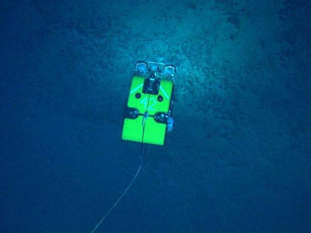 Dos robots exploran el fondo del mar y lo transmiten en vivo por Internet