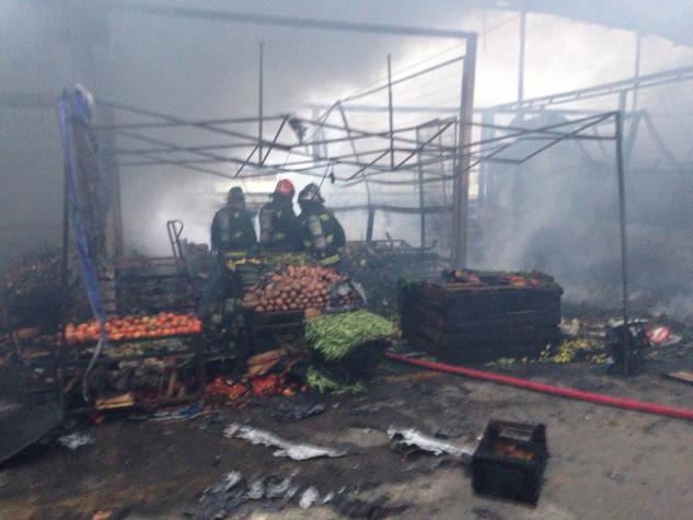 Incendio afecta a locales del Terminal Agropecuario de Iquique