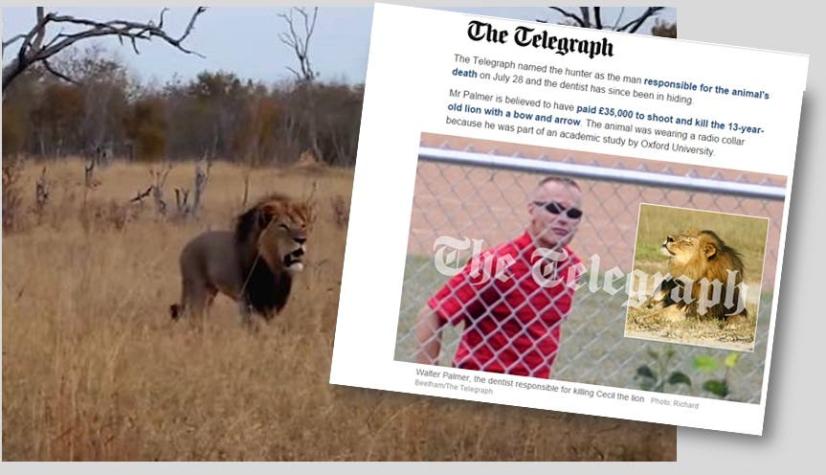 Fotografían por primera vez al huidizo dentista que mató al león "Cecil"