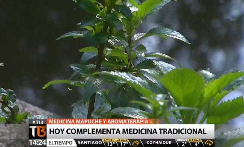 Las nuevas ventajas de la medicina mapuche y la aromaterapia
