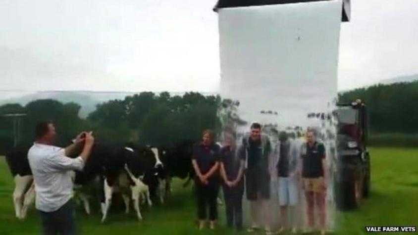 "Papá, ¿por qué te bañas en leche?": la curiosa protesta de agricultores en Reino Unido