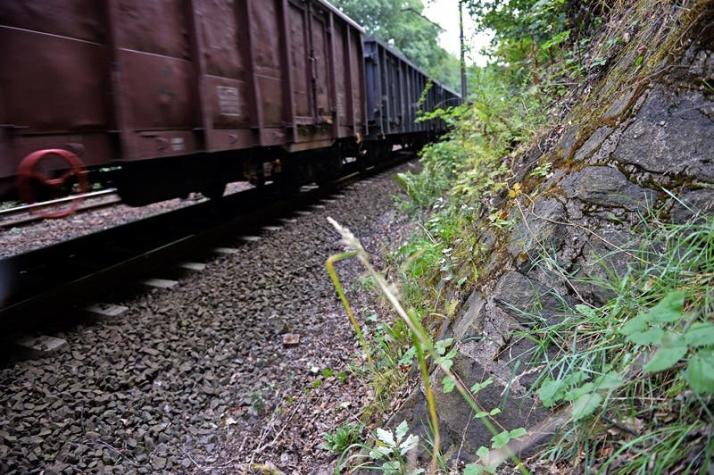 Autoridades polacas confirman en un 99% la existencia del perdido tren nazi lleno de "oro"