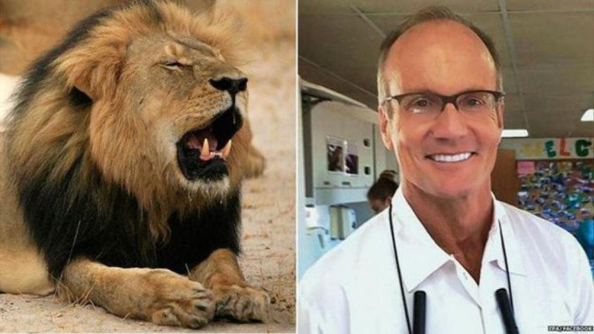 Hombre que mató a Cecil, el león de Zimbabue: "Mi familia recibe amenazas por las redes sociales"