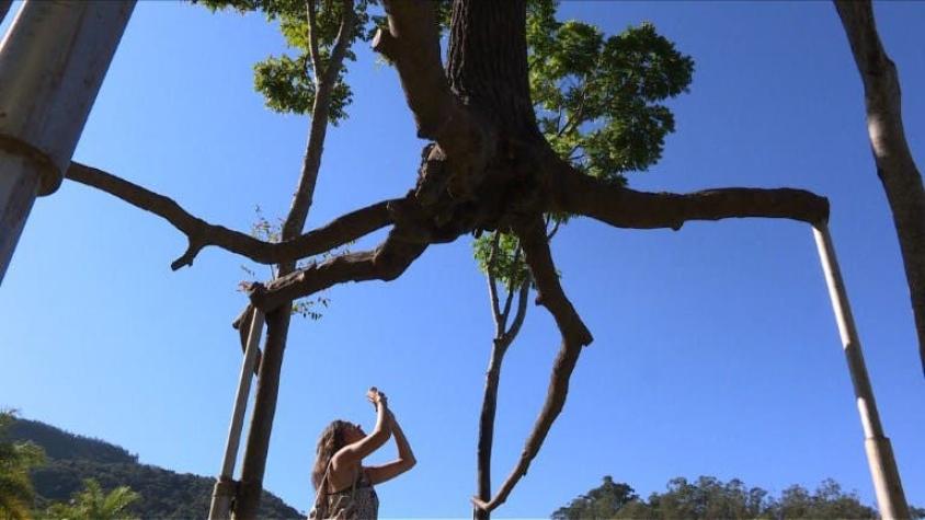 [VIDEO] Impresionante arte selvático en Brasil