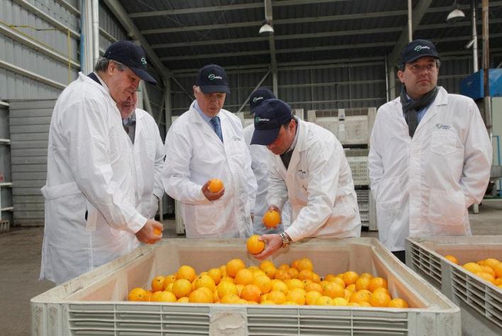 China levanta cuarentena para exportaciones afectadas por mosca de la fruta