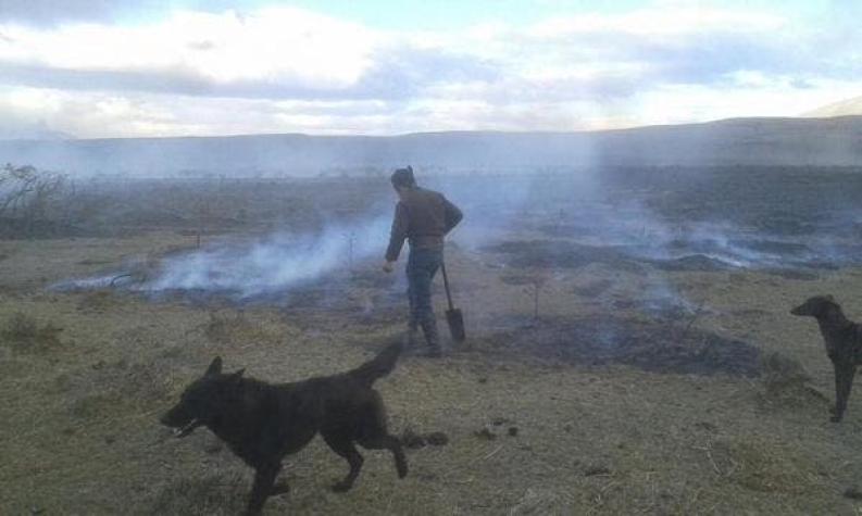 Onemi declara Alerta Amarilla por incendio forestal en comuna de Torres del Paine