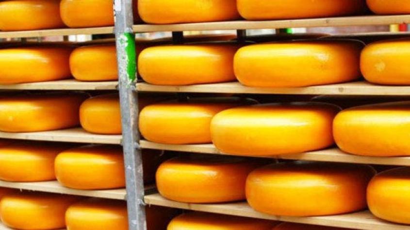 ¿Son los holandeses los más altos del mundo por comer más queso?