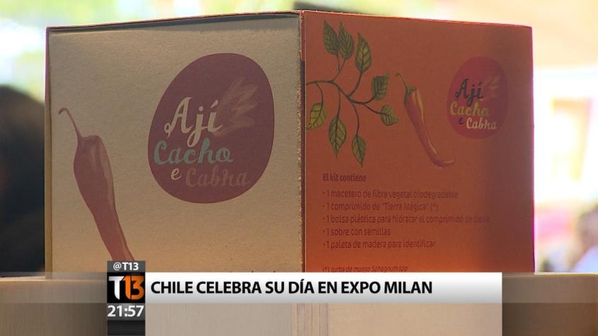 Cómo se celebró el día de Chile en la Expo Milán