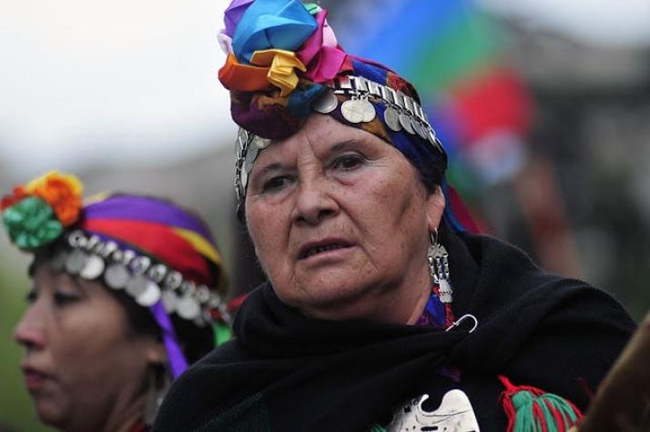 Cerca de 5.000 personas participaron en "Marcha por la resistencia Mapuche"
