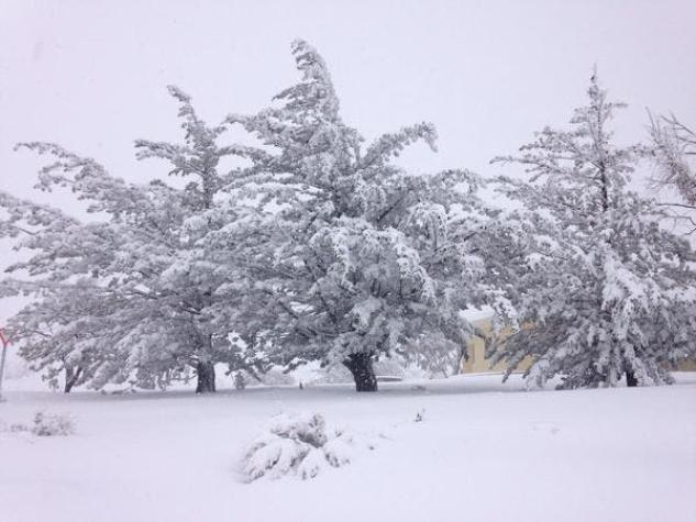 Inusual nevazón sorprende a habitantes del Valle del Elqui