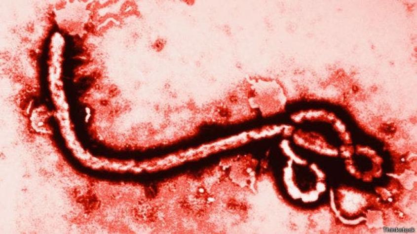 "El virus de ébola permanece en el semen hasta 9 meses"