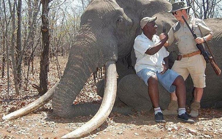 Cazador alemán mata al elefante más grande de África