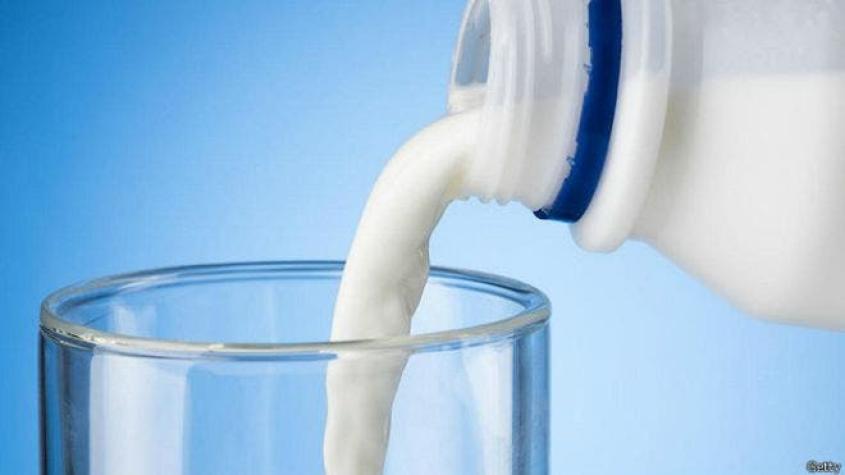 Almendra, vaca, soya: ¿cuál es la mejor leche para ti?