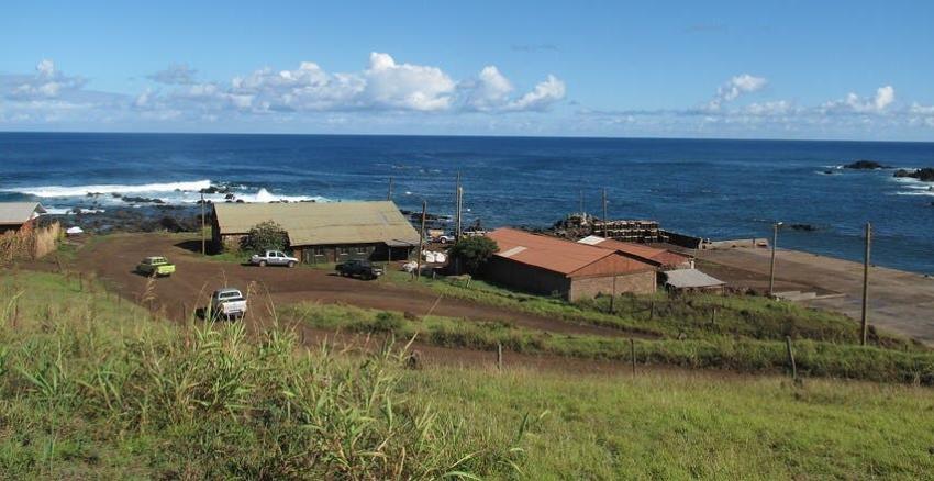 Avión de emergencia de la FACH llega a Isla de Pascua para traer a territorio continental a aislados