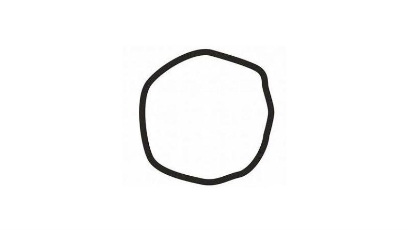 ¿Es este un círculo? El simple test que puede decir cuál es tu ideología política