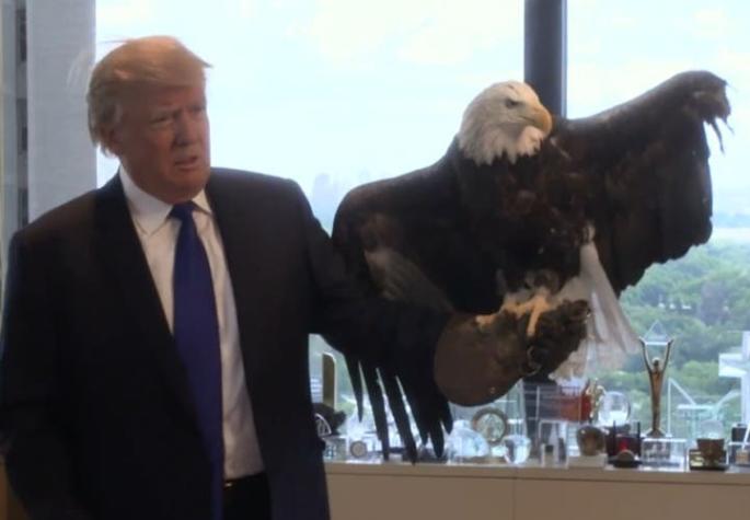 [VIDEO] Así fue el complicado encuentro entre Trump y un águila