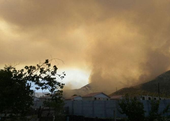 Incendio forestal en Lampa consume al menos 20 hectáreas