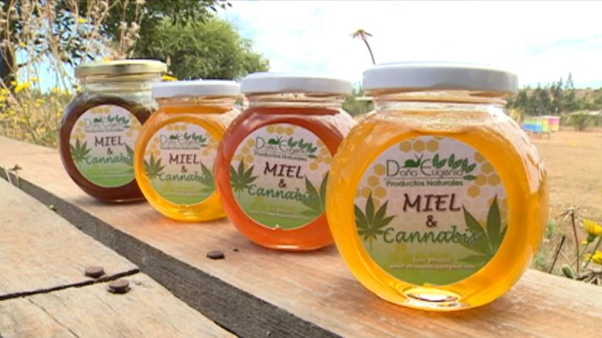 Miel y aceite de cannabis: Una combinación saludable