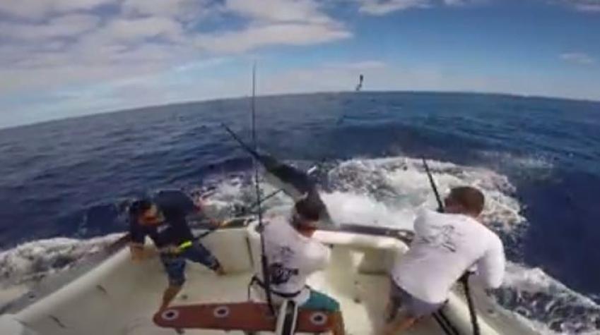 [VIDEO] Enorme pez espada "ajusta cuentas" con un grupo de pescadores