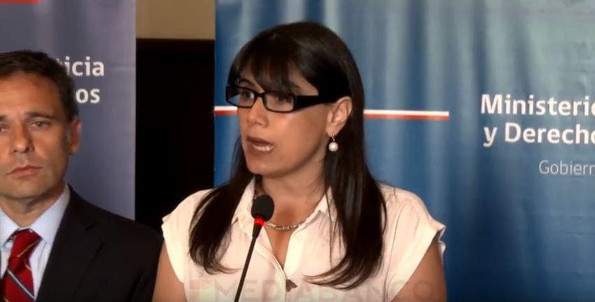 [VIDEO] Polilla molesta a la ministra Javiera Blanco