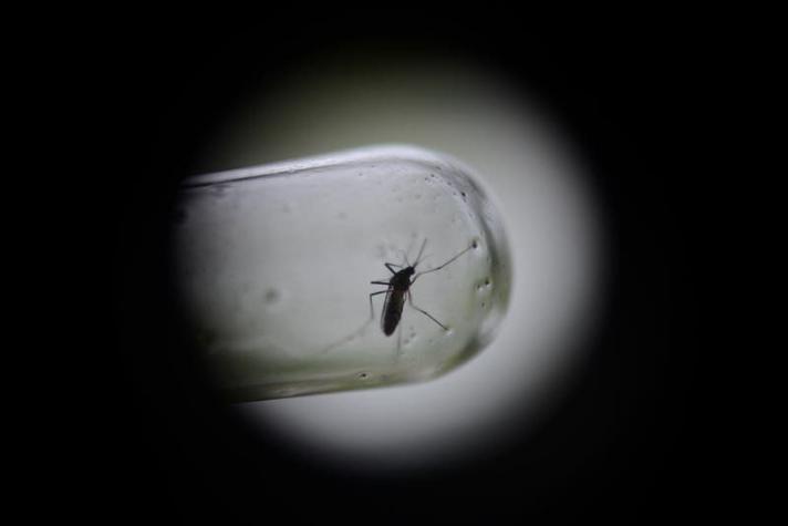 Argentina en alerta por casos de dengue en nueve provincias