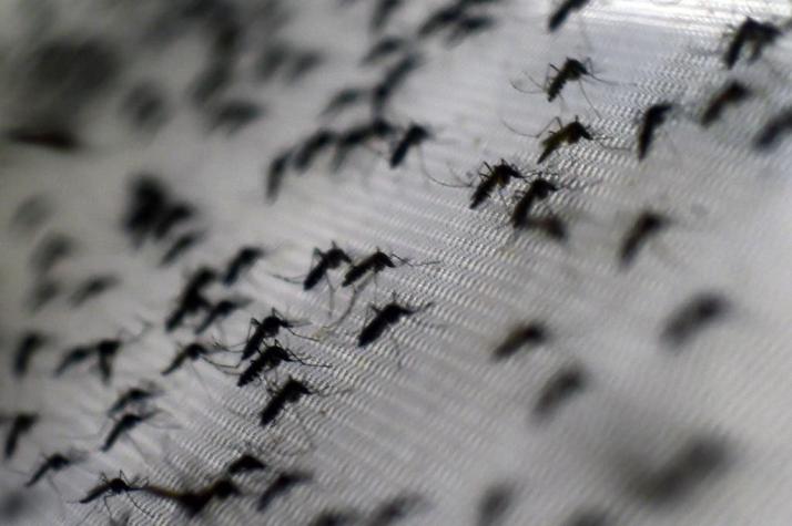 Autoridades reconocen la llegada del dengue a Argentina