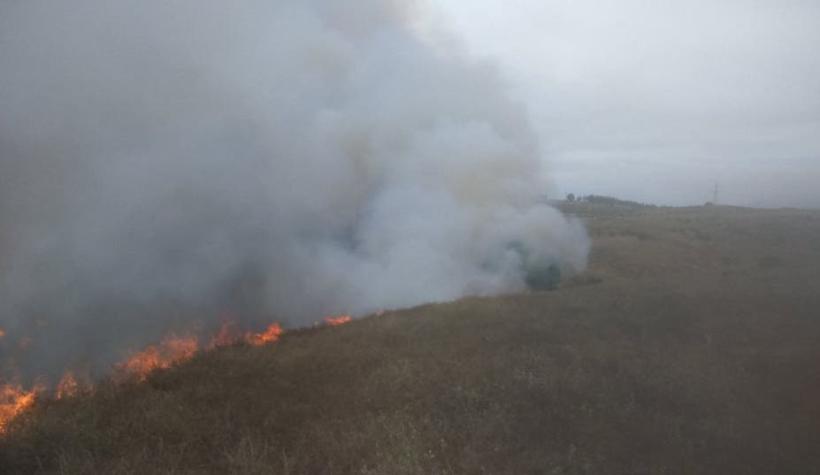 Declaran alerta roja en Quintero y Limache por incendios forestales