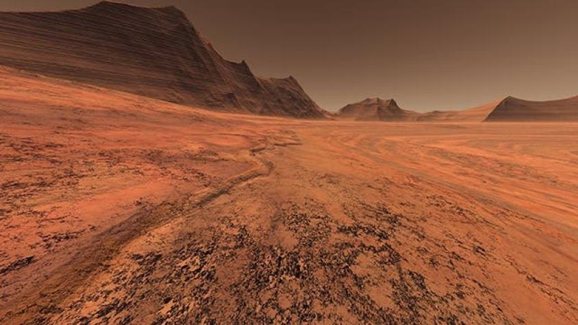 ¿Qué criaturas terrestres pueden vivir en Marte?