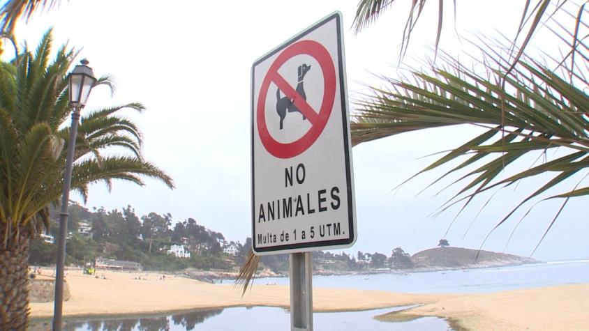 Veraneantes sorprendidos por nueva ordenanza que prohíbe mascotas en las playas