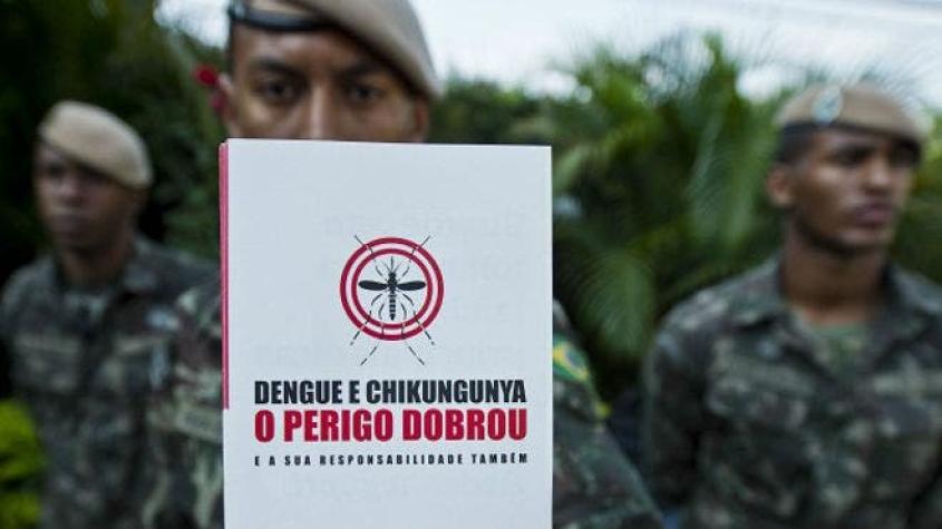 OMS: “El dengue es mucho más peligroso para los humanos que el virus Zika”