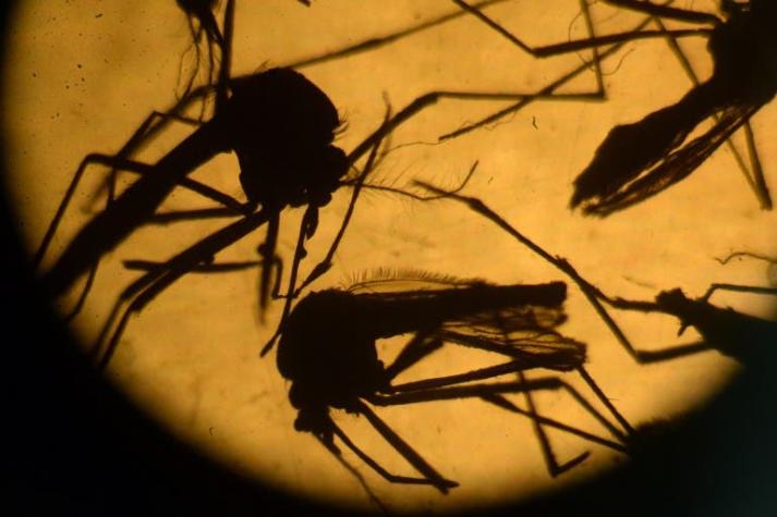 OMS desaconseja donaciones de sangre de viajeros que regresan de países con zika