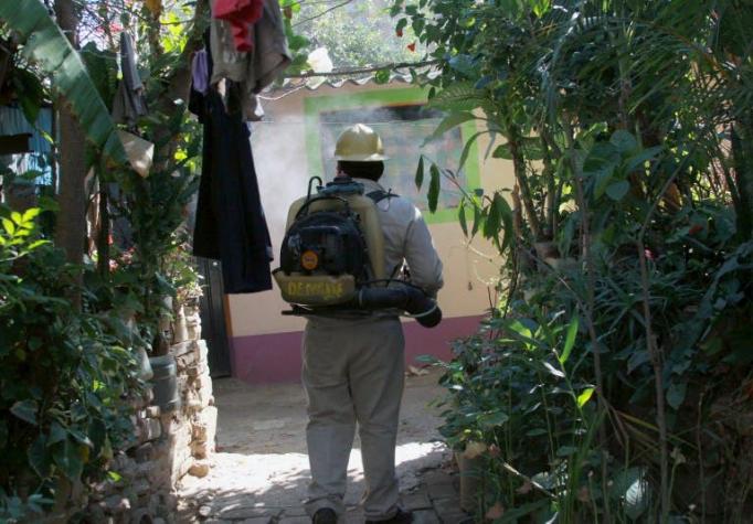 Zika: Puerto Rico decreta emergencia sanitaria y confirma caso de embarazada infectada