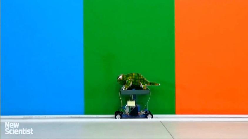 Desarrollan robot camaleón que se camufla con su entorno