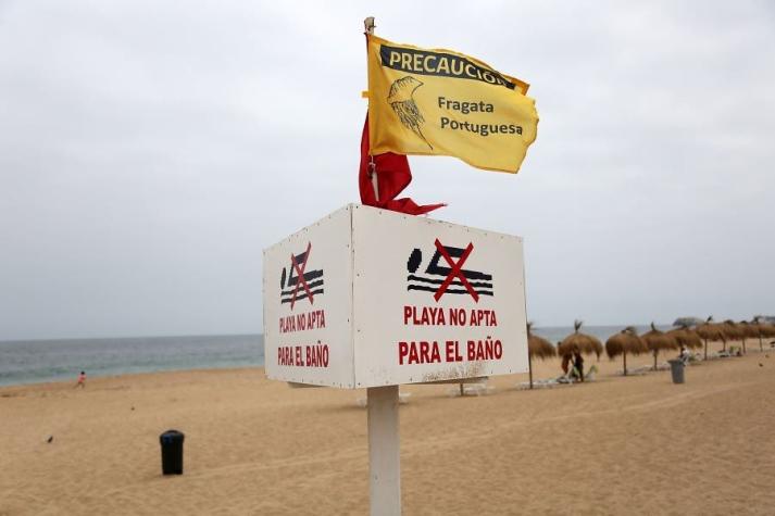 Prohíben baño en tres sectores de Reñaca por presencia de Fragata Portuguesa