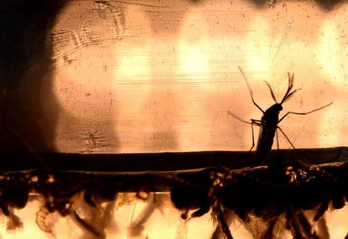 España registra un segundo caso de embarazada infectada de Zika