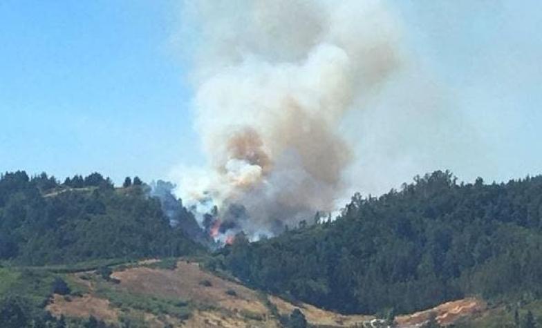 Alerta Roja para la comuna de Temuco por incendio forestal