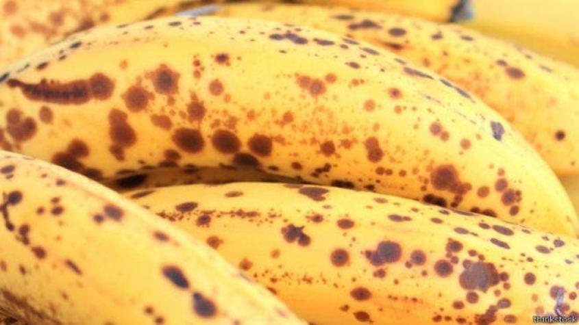 ¿Qué tienen en común la cáscara de los plátanos y el cáncer de piel?