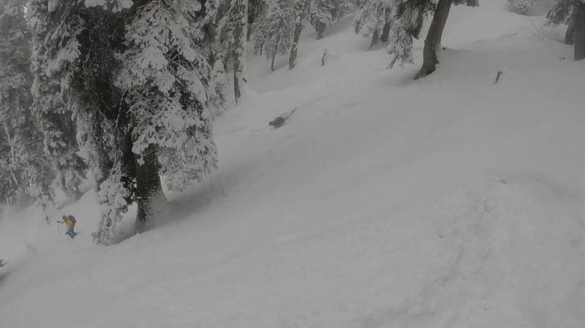 [VIDEO] Sorpresivo encuentro de esquiadores con un leopardo de nieve