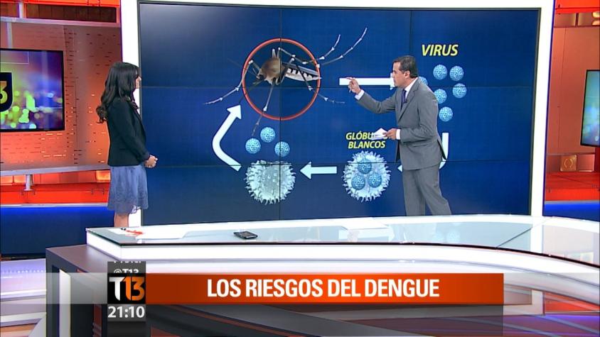 Infectóloga de la Red Salud UC explica los riesgos del dengue
