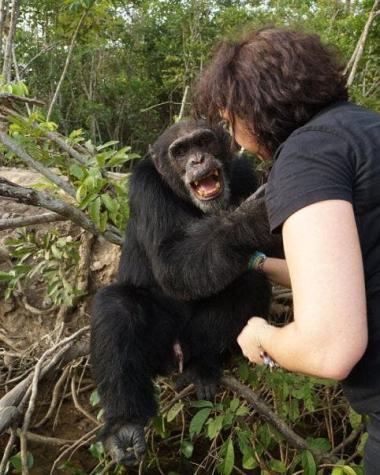 [FOTOS] El chimpancés más solitario del mundo sonríe y abraza a quienes lo visitan