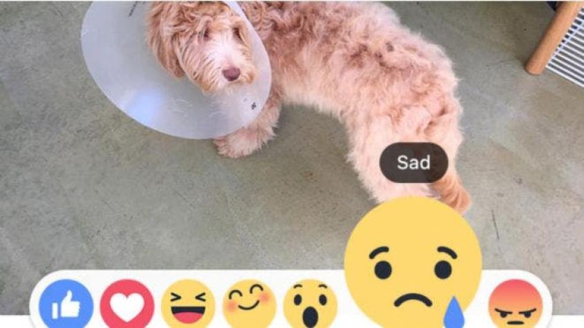 "Me encanta", "me enfada", "me asombra": Facebook cambia el botón de "No me gusta" por 6 emojis
