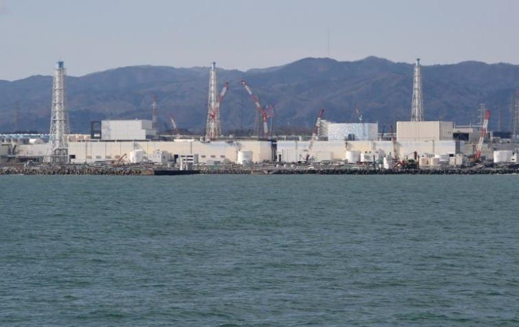 ¿Qué pasa con la pesca en Fukushima a 5 años del desastre nuclear?