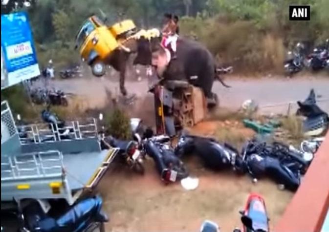 [VIDEO] Furioso elefante destruye vehículos durante festival en India