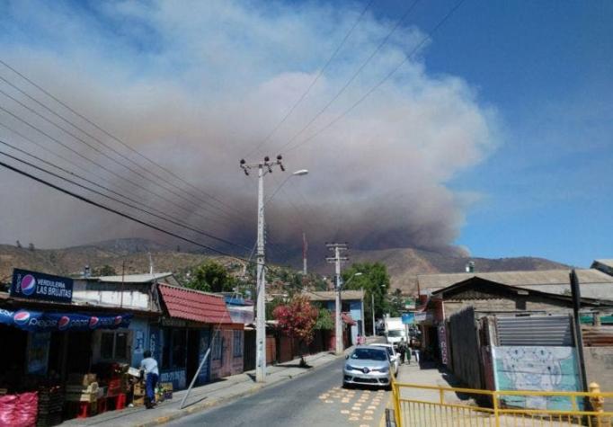 Alerta Roja en La Ligua por incendio forestal que consume más de 300 hectáreas