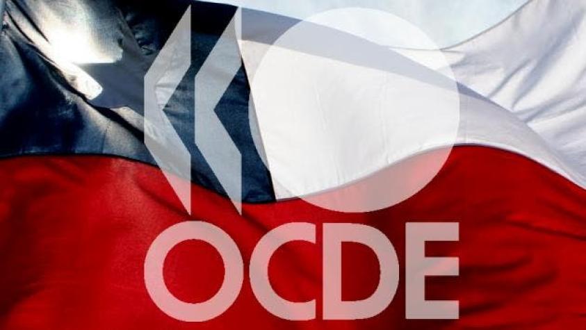 OCDE: Chile entre los 16 países con bajo puntaje a nivel laboral