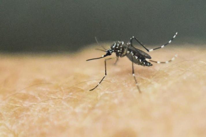 Asia: Primer caso autóctono de virus zika en Laos