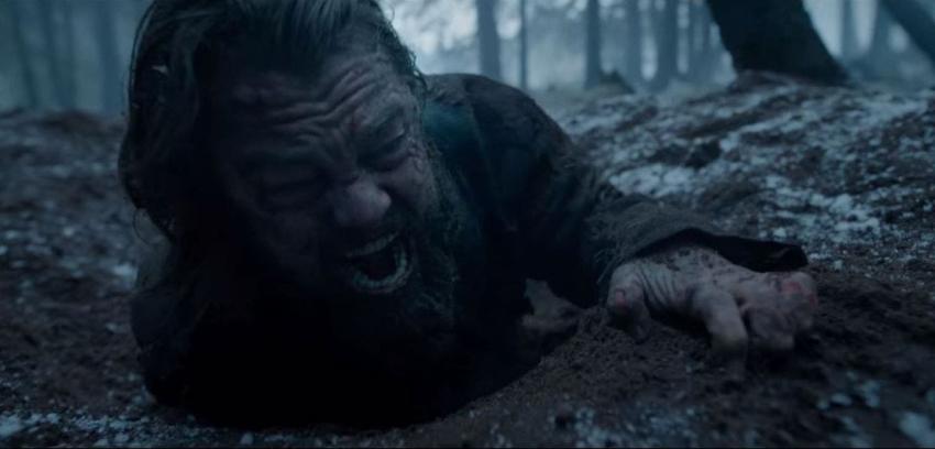 Pelea entre Leonardo DiCaprio y el oso es nominada a los MTV Movie Awards