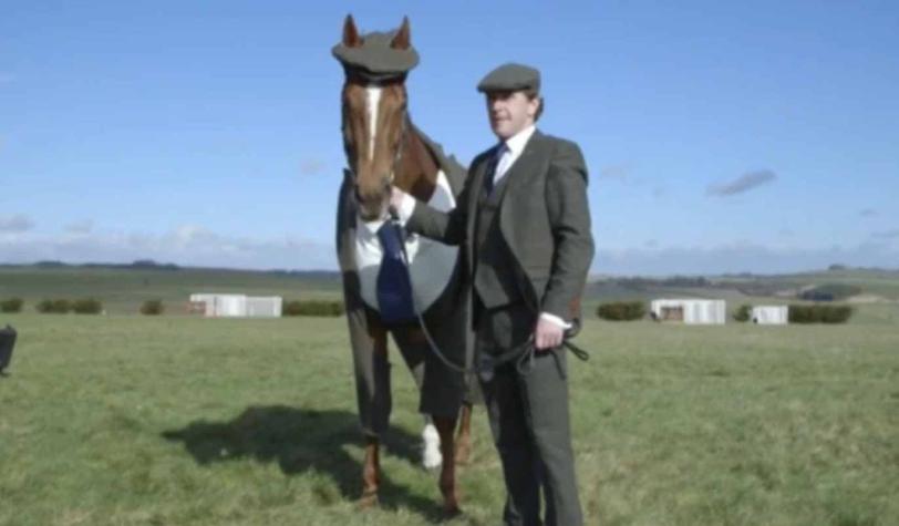 [VIDEO] El caballo que derrocha estilo vestido en un traje de tres piezas