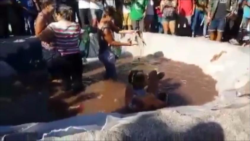 [VIDEO] Un estudiante se fractura tras ser lanzado a piscina de pescados en Mechoneo